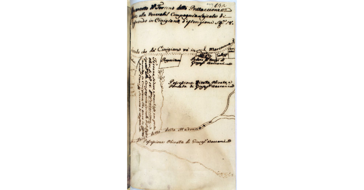 Lineamento del Terreno detto Prataccione spettante alla Venerabil Compagnia Laicale di S. Sigismondo in Cinigiano, d'estensione St. 18