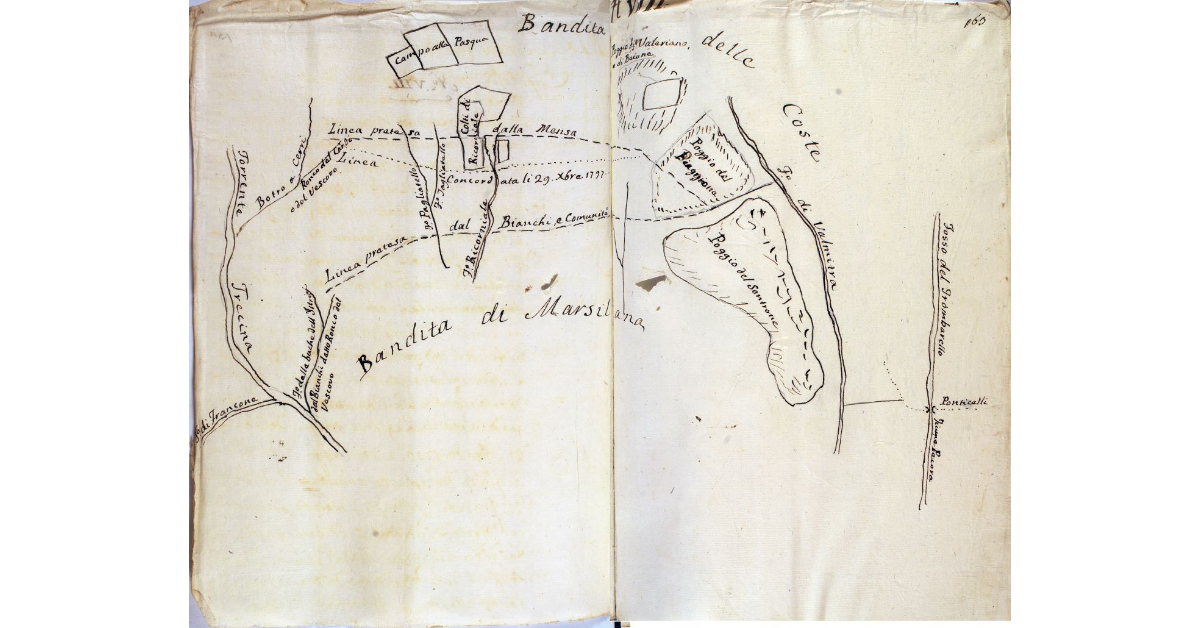 [Pianta della zona di confine fra la Bandita di Marsiliana, spettante alla Mensa Vescovile di Massa Marittima e la Bandita delle Coste, alienata dalla comunità nel 1788]