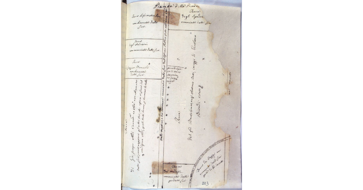 [Pianta delle proprietà Aldi e Biondi situate in località il Santo o Renella all’isola del Giglio]