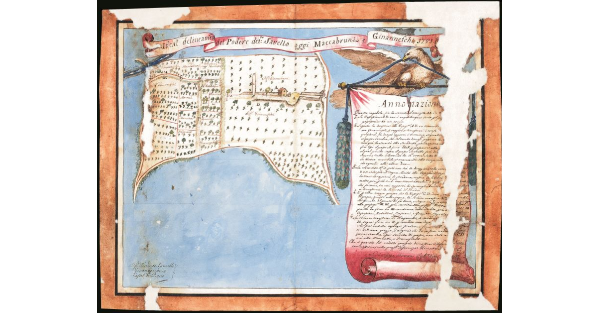 Ideal delineamento del Podere detto Savello oggi Maccabruni e Ginanneschi 1781