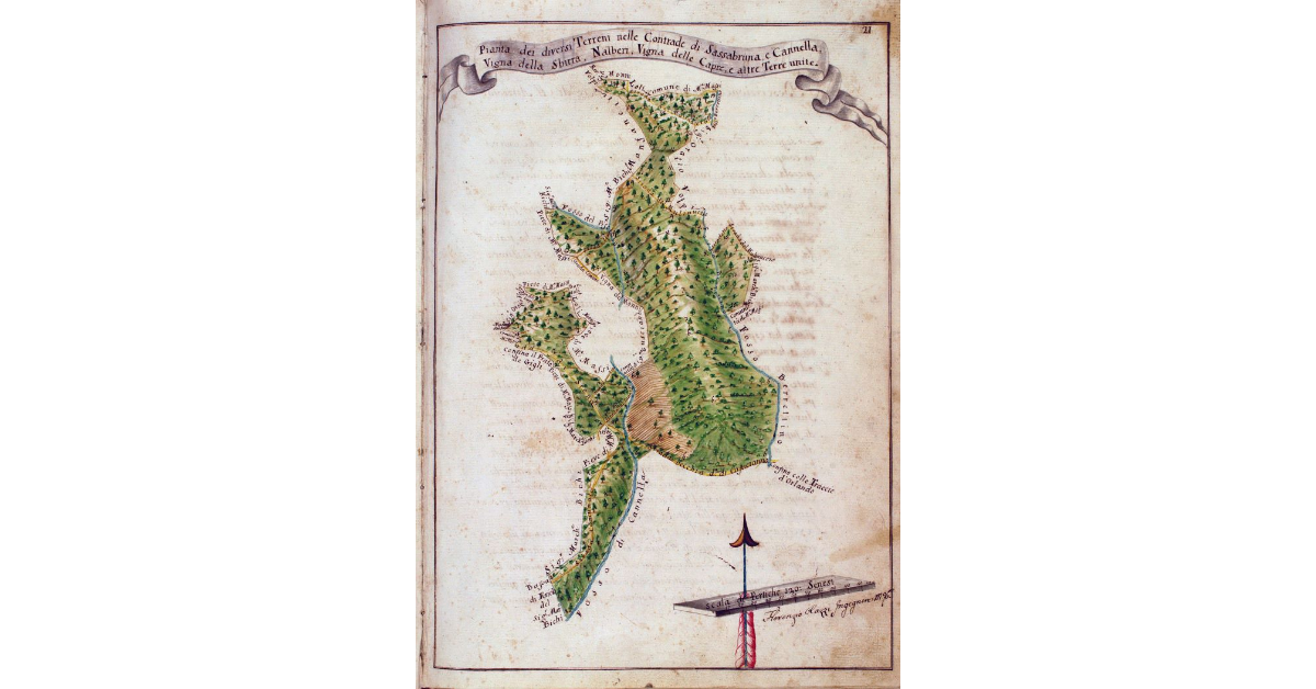 Pianta dei diversi Terreni nelle Contrade di Sassabruna, e Cannella, Vigna della Sbirra, Nalberi, Vigna delle Capre, e altre Terre unite