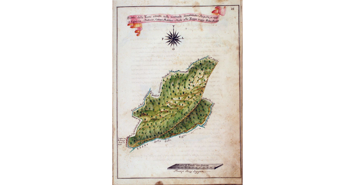 Pianta delle Terre situate nelle Contrade denominate Aristella, in oggi la Casuccia, i Pratacci, Campo Martino, e vado allo Zoppo in oggi Pietra Focaia