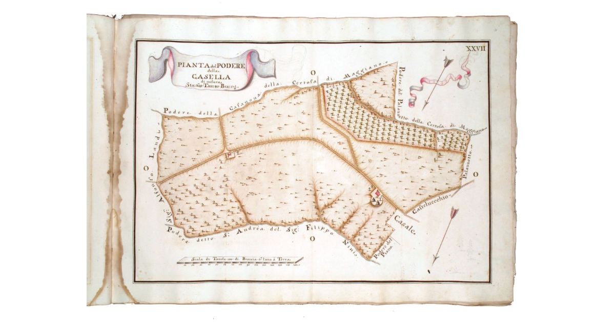 Pianta del podere della Casella di misura staia 602, tavole 30, braccia 17 1/4