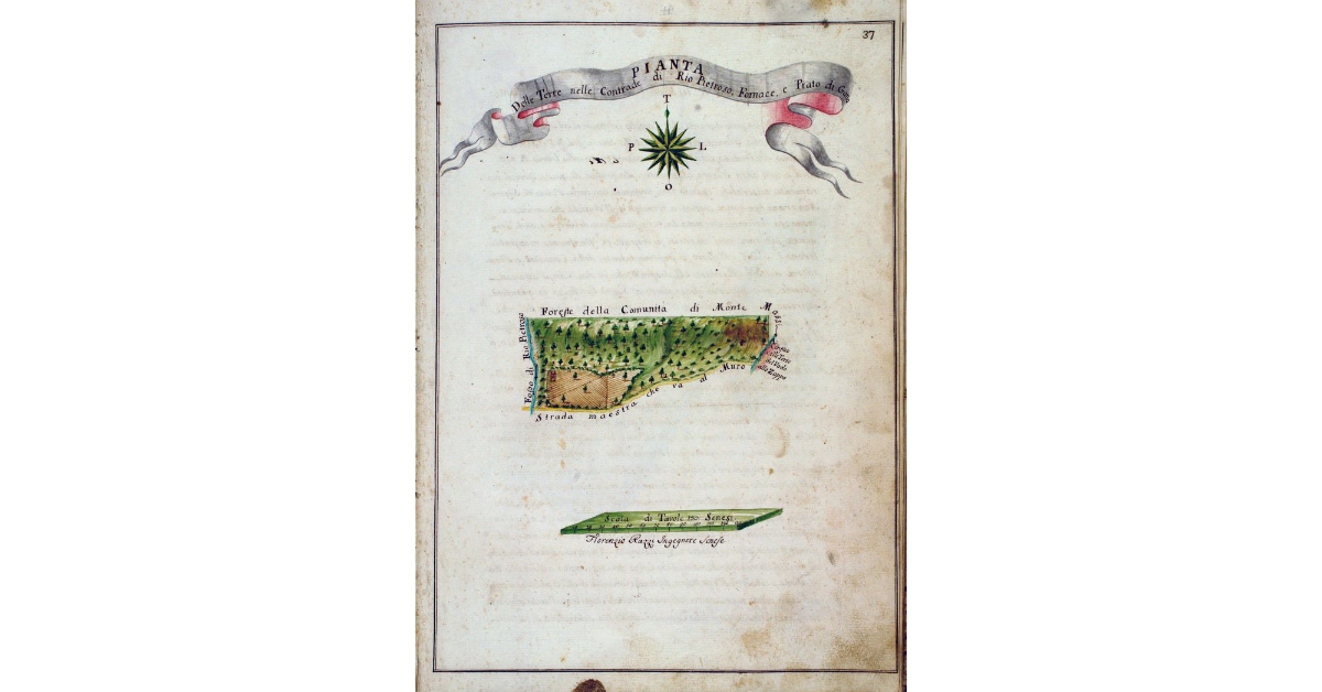 Pianta delle Terre nelle Contrade di Rio Pietroso, Fornace, e Prato di Gano