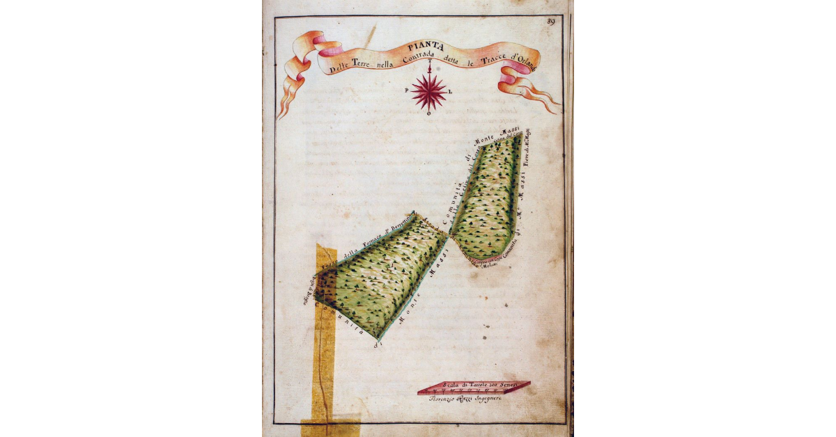 Pianta delle Terre nella Contrada detta le Tracce d'Orlando