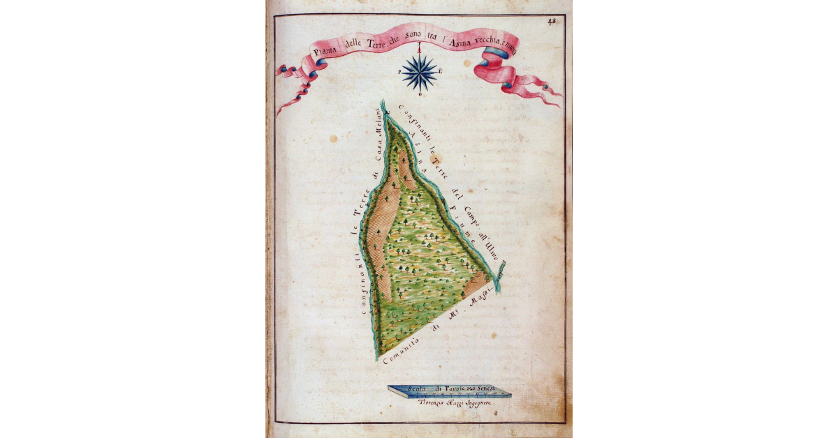 Pianta delle Terre, che sono tra l'Asina vecchia, e nuova