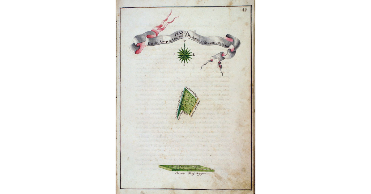 Pianta dei due Campi in Contrada il Picchiarone, ed altro unito sotto la Magia