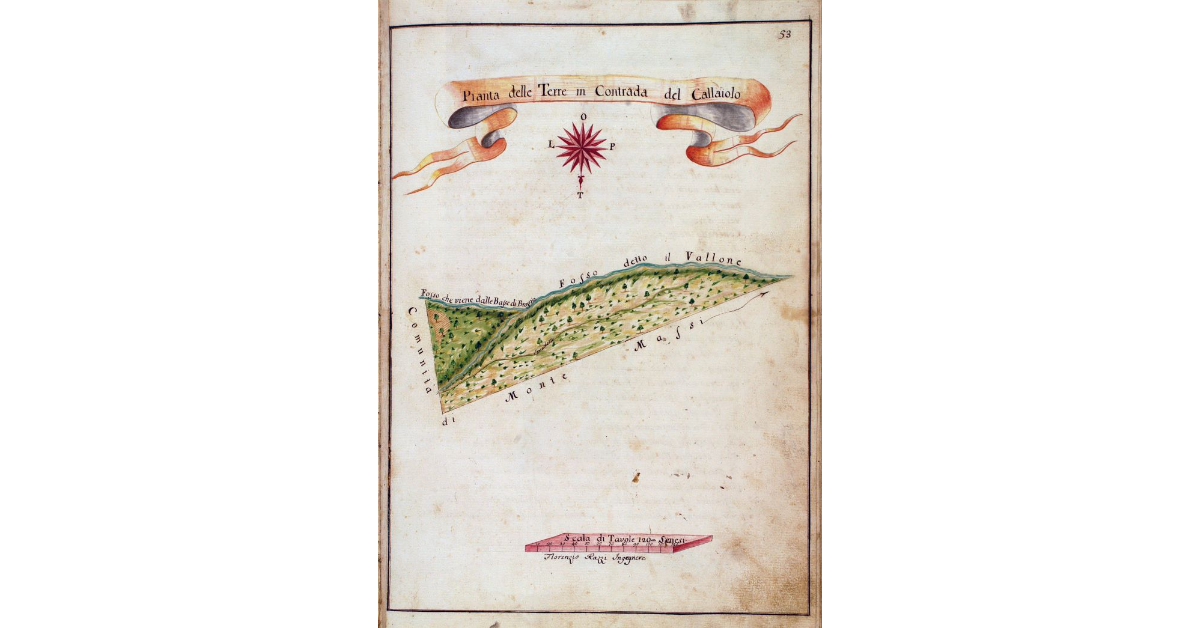 Pianta delle Terre in Contrada del Callaiolo