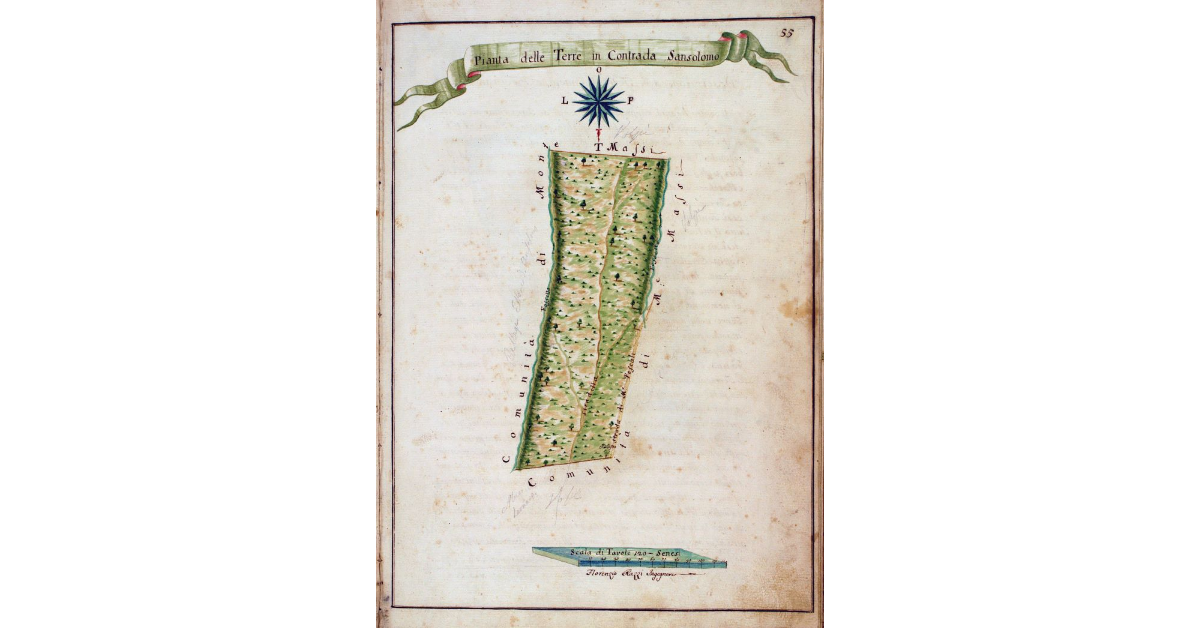 Pianta delle Terre in Contrada Sansolomo