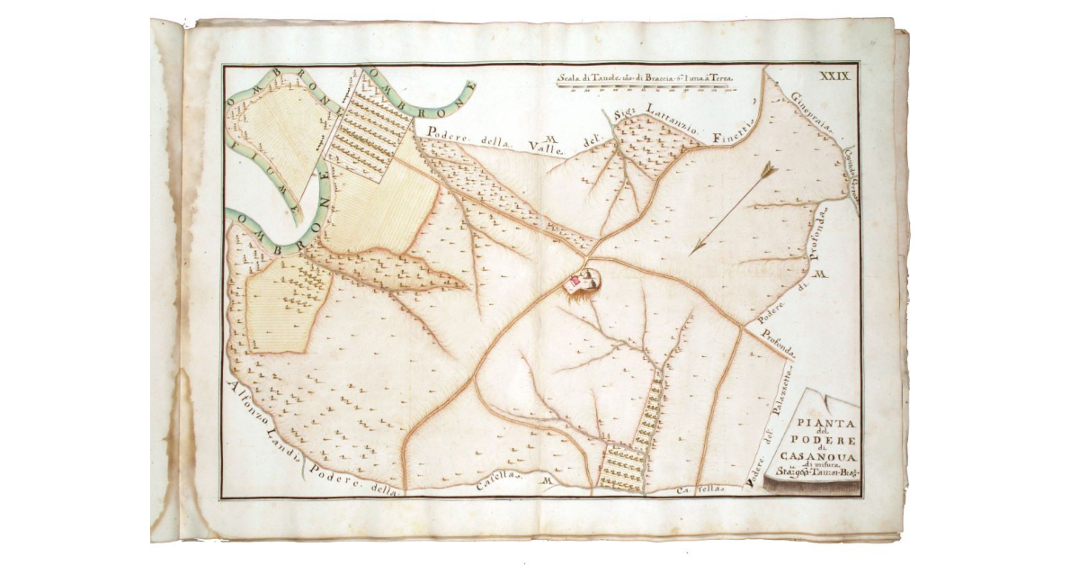 Pianta del podere di Casanova di misura staia 962, tavole 51, btaccia 5 1/2