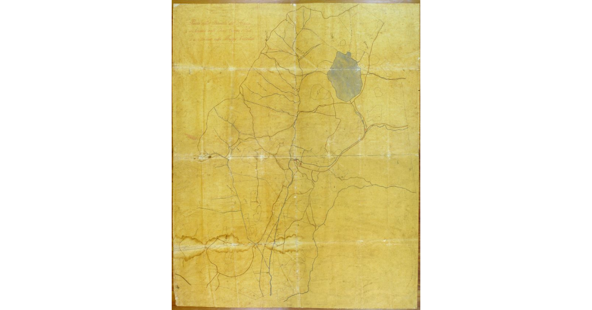 Pianta della Bandita dell'Accesa ove trovansi molti Fossi, Campi e Poderi non tracciati nella Mappa Catastale