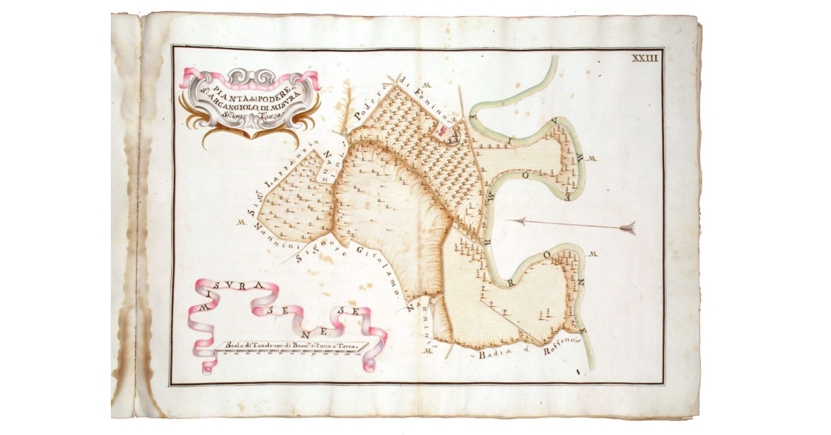 Pianta del podere di Sant' Arcangiolo [...]