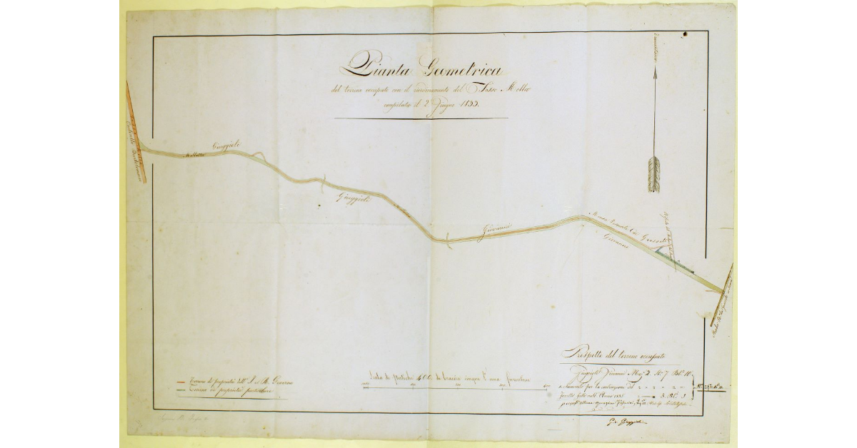 Pianta Geometrica del terreno occupato con il riordinamento del Fosso Molla compilata il 2 Giugno 1833