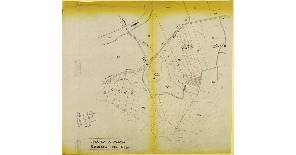 Progetto per la costruzione della strada di collegamento del serbatoio di Grancia con la strada provinciale di serie n° 273 ter. Serbatoio di Grancia. Planimetria