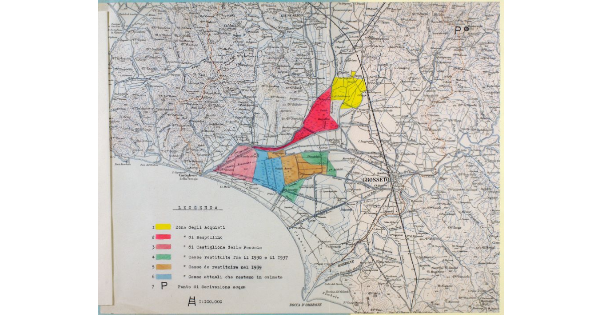 [Progetto per un impianto industriale di produzione di cellulosa]