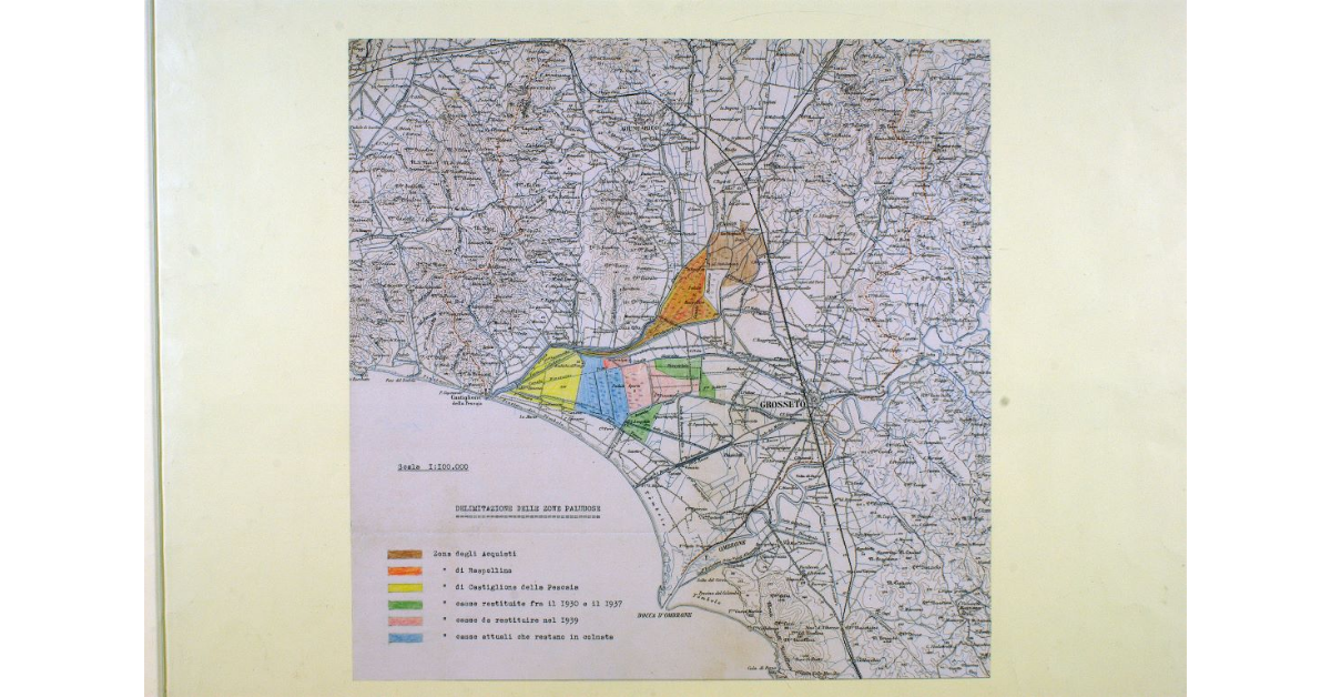 [Progetto per un impianto industriale di produzione di cellulosa]