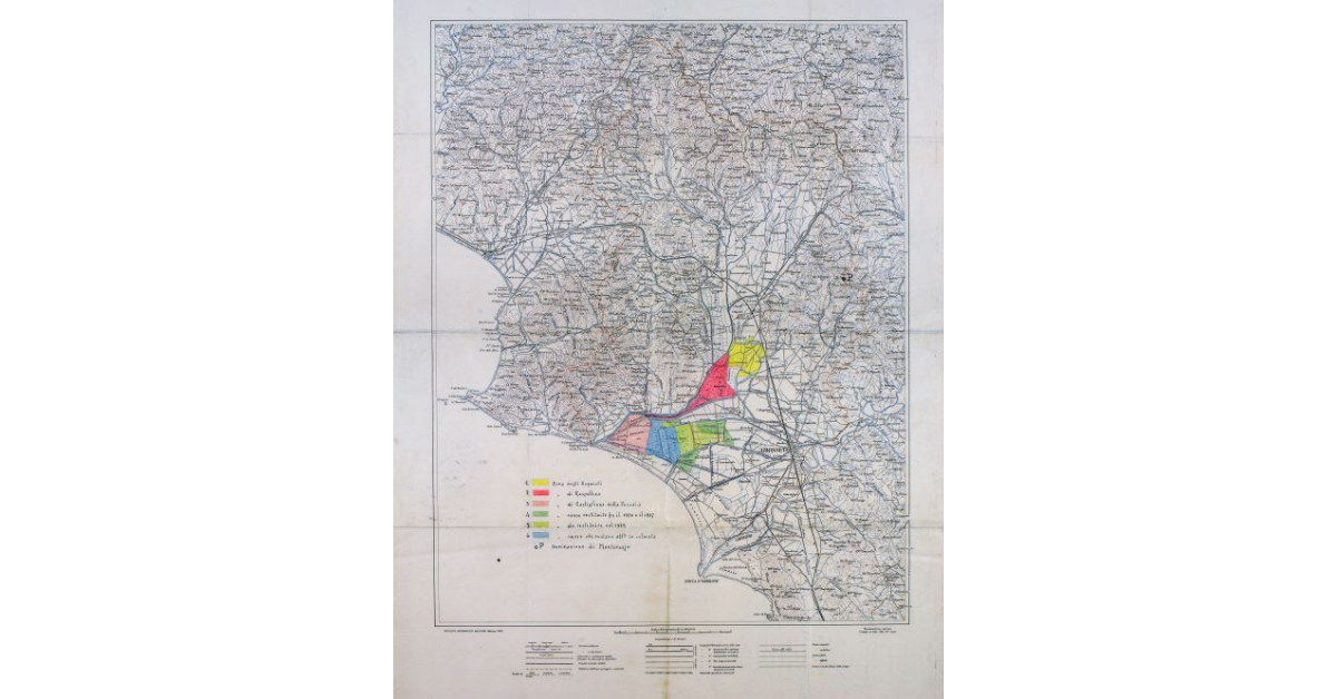 [Progetto per un impianto industriale di produzione di cellulosa]