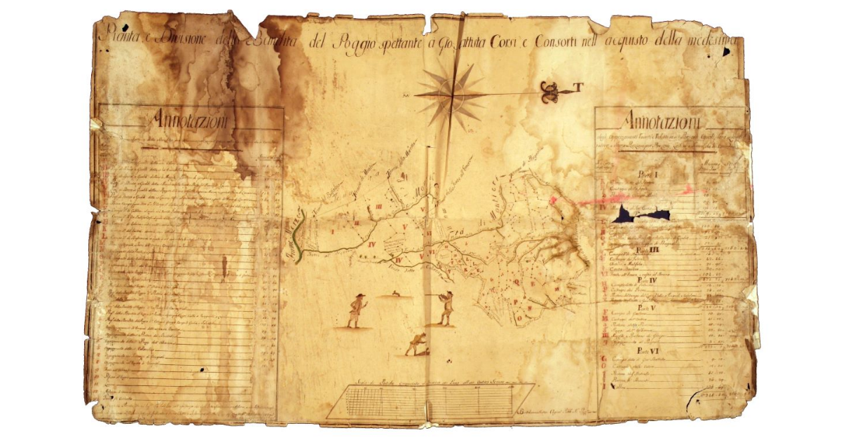 Pianta e divisone della bandita del Poggio spettante a Giovan Battista Corsi e consorti nell'acquisto della medesima