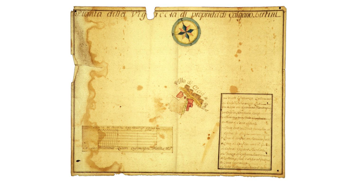 Pianta della Vignaccia di proprietà di Galgano Bertini