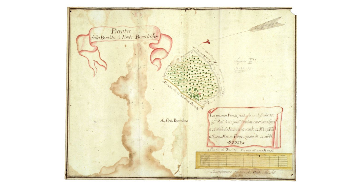 Pianta della bandita di Fonte Bonichi