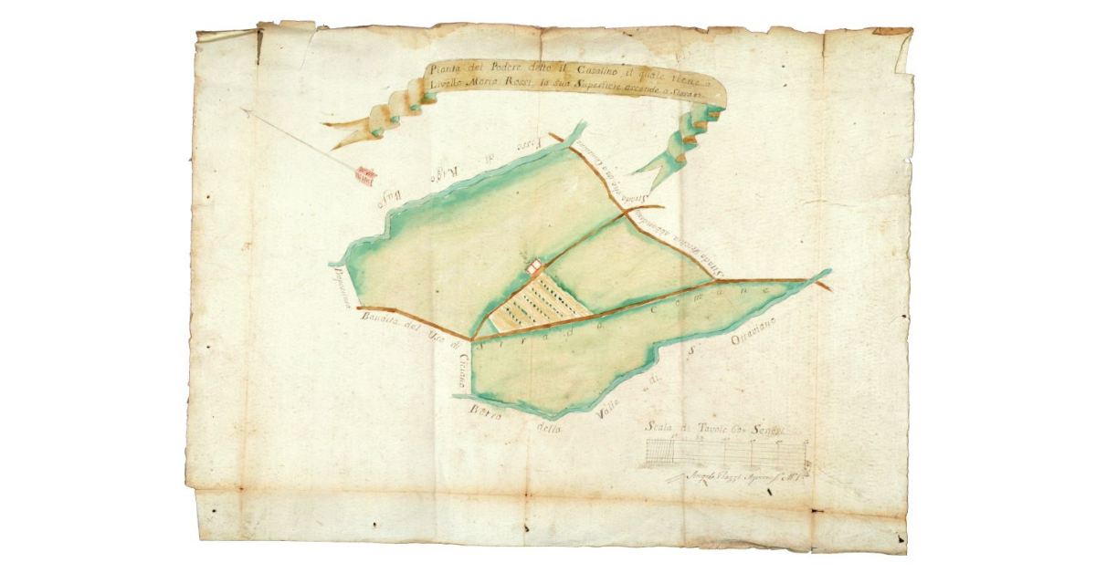 Pianta del podere detto il Casalino, il quale tiene a livello Maria Rossi. La sua superficie ascende a staia 87