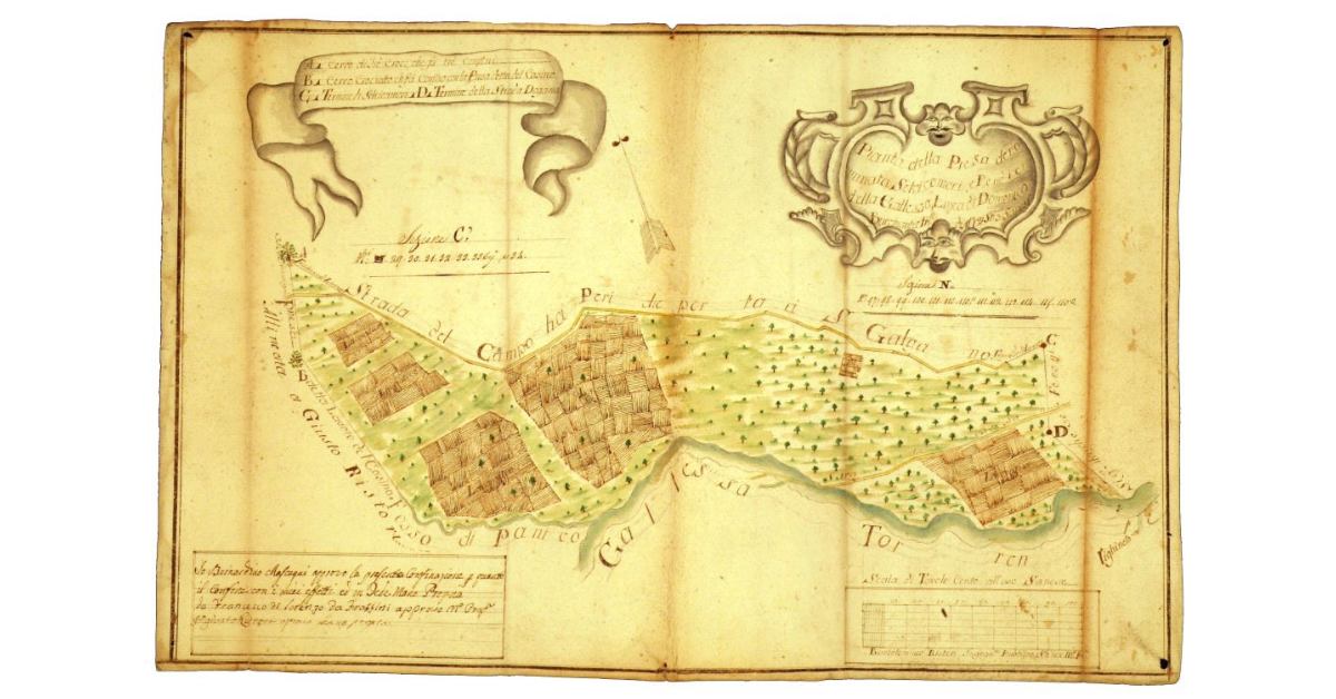 Pianta della presa denominata Selvicomori e pendici della Gallessa, linea di Domenico Burchianti e fratelli di moggia 12, staia 3 senesi
