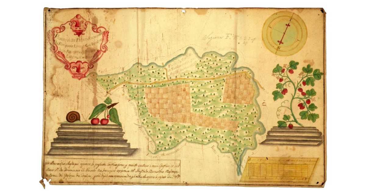 Pianta della presa denominata Ferrupaia linea di Giovan Battista del fu Pasquino da Frassini staia 10 e tavole 26 all'uso senese