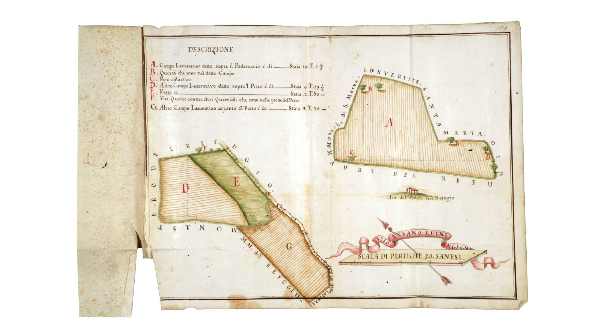 [Pianta degli appezzamenti denominati Campogrande, Camparone, Querciuola, Querciuolino e Maravalle]