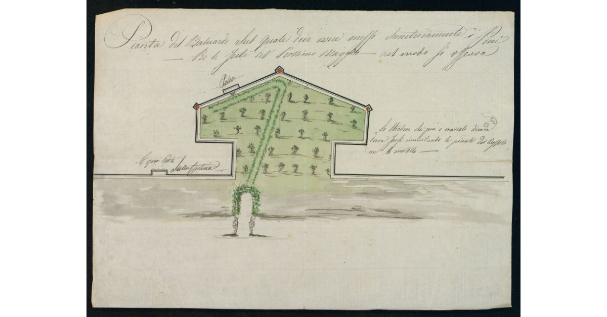Pianta del Baluardo sul quale deve essere messo simetricamente i Pini - Per le feste del Prossimo Maggio - nel modo si osserva