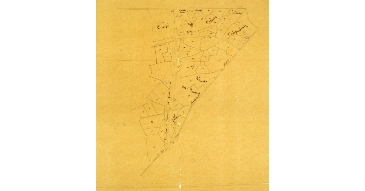 [Pianta della zona attraversata dal primo canale di derivazione del fiume Ombrone, con le particelle catastali]