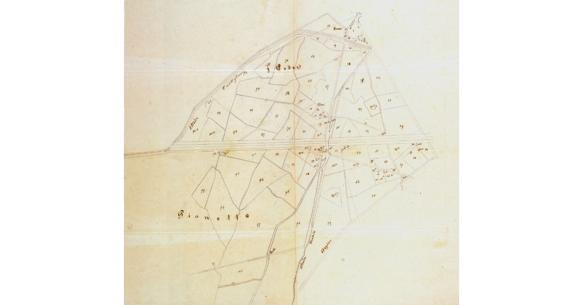 [Pianta della zona compresa fra la strada di Castiglione della Pescaia e l'argine d'Ombrone]