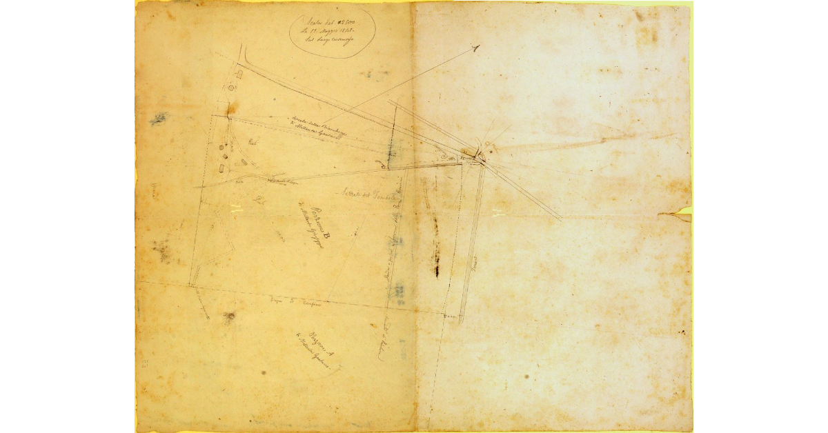 [Pianta dei terreni di proprietà di Millanta Gaetano e Millanta Giuseppe, con l'indicazione del fosso Tanaro e dei canali costruiti dall'Uffizio del Bonificamento]