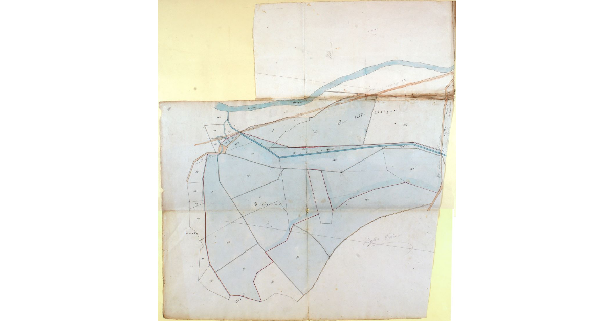 Radicata. Foglio Primo