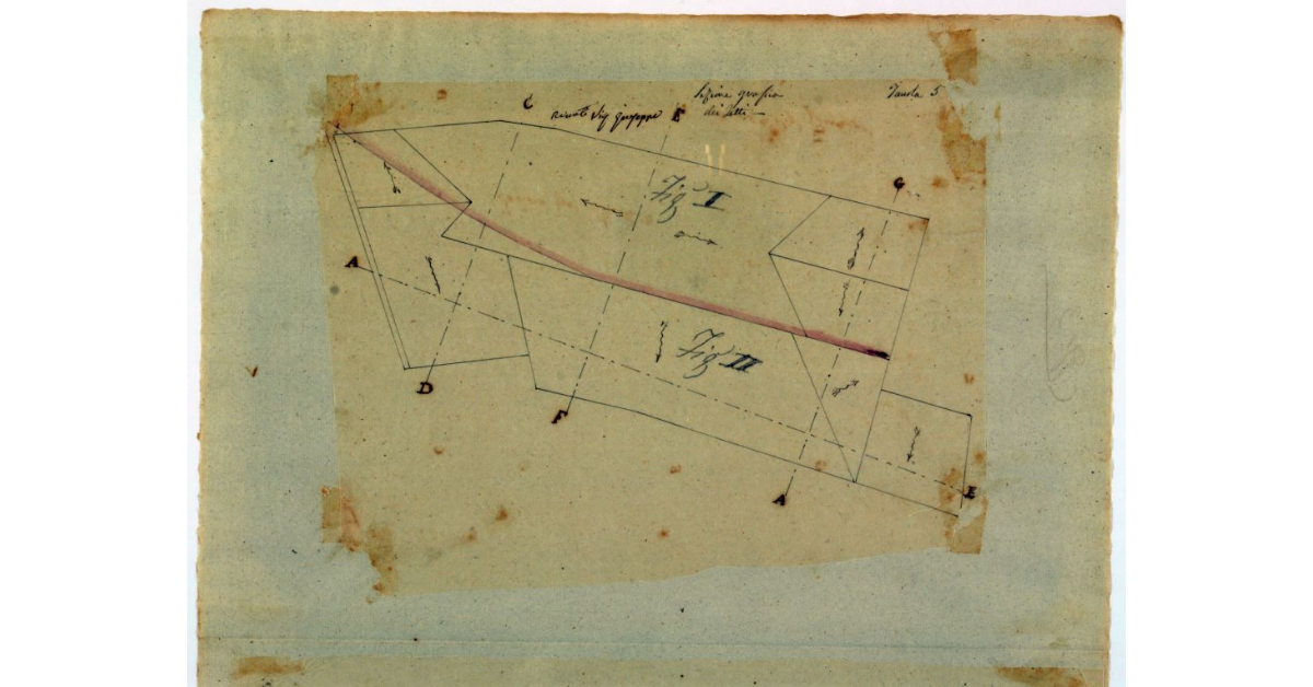 Sezione grafica dei detti