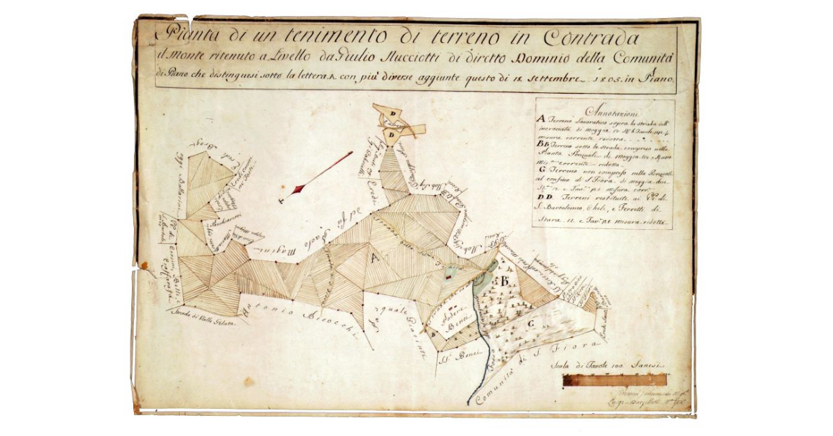 Pianta di un tenimento di terreno in contrada il Monte ritenuto a livello da Giulio Nucciotti di diretto dominio della comunità di Piano che distinguesi sotto la lettera A con più diverse aggiunte questo dì 18 settembre 1805 in Piano