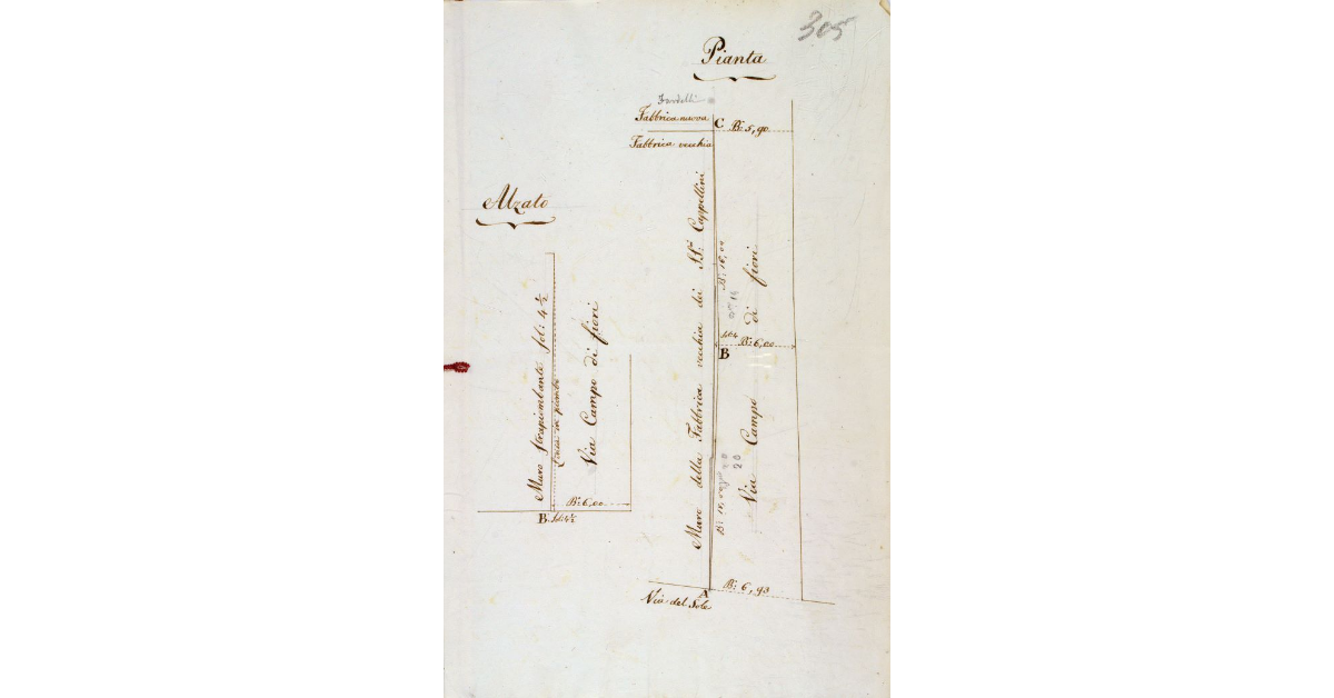 [Pianta e alzato del muro della Fabbrica Vecchia dei sig.ri Cappellini, situata in via Campo di Fiori a Piombino]