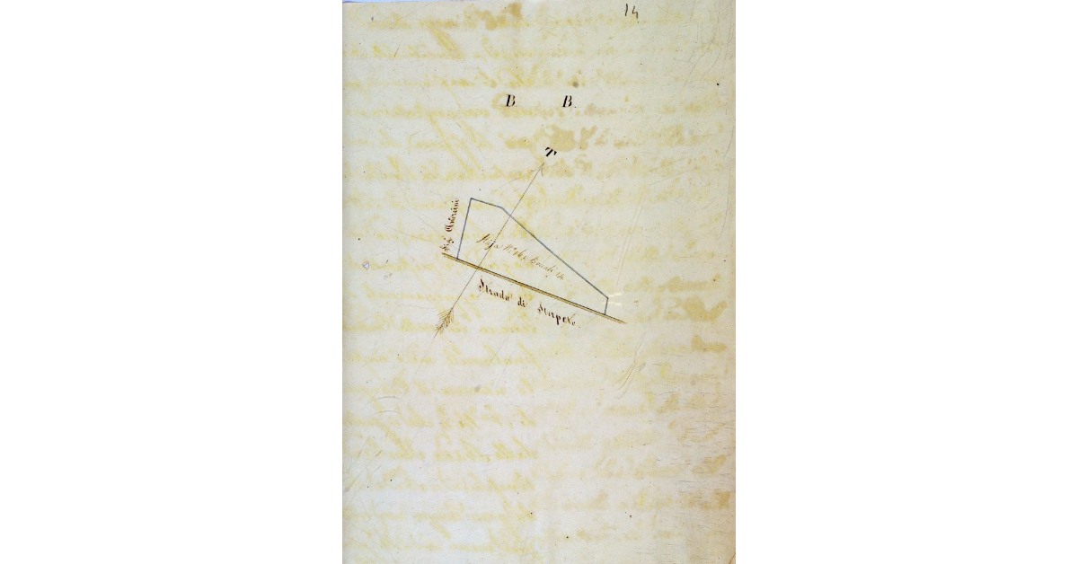 [Pianta di un terreno di proprietà dell'ex Convento di San Francesco a Grosseto, situato nella Contrada Sterpeto]