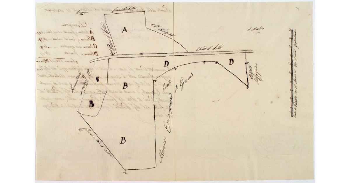 [Pianta delle Terre del Turini addette all'altare di S. Antonio]
