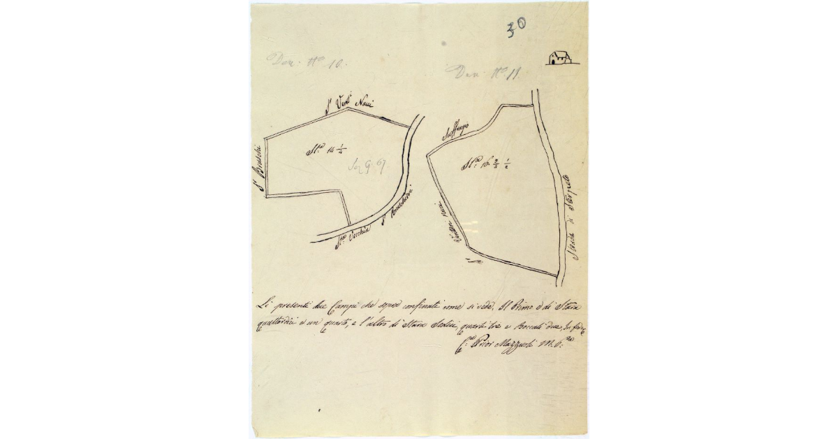 [Pianta di due terreni un tempo appartenuti all'ex Convento di San Francesco di Grosseto]