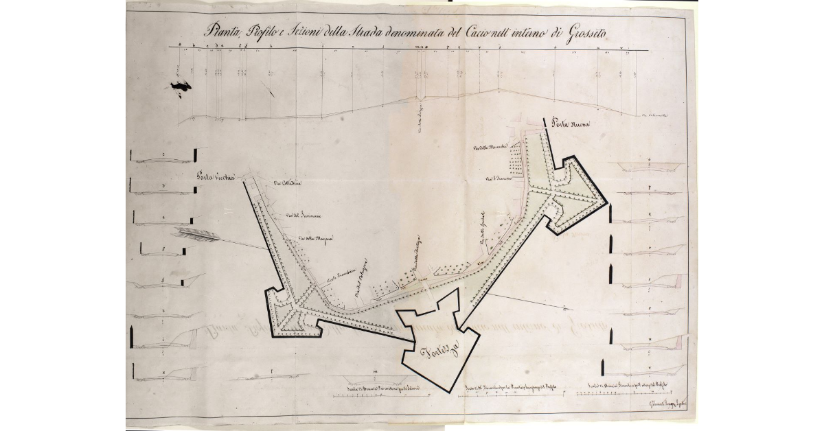Pianta, Profilo e Sezioni della Strada denominata del Cacio nell'interno di Grosseto