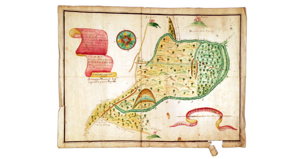 Pianta delle terre controverse godute dalla casa Tamanti e pretese dalle RR MM di Santa Caterina e canonicato di S. Lorenzo in Montalcino