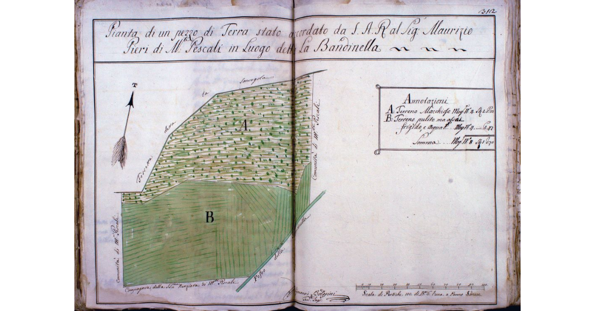 Pianta di un pezzo di Terra stato accordato da S. A. R. al Sig. Maurizio Pieri di M. Pescali in Luogo detto la Bandinella