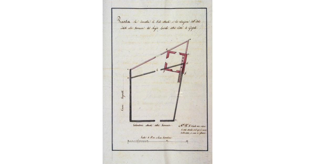 Pianta che dimostra lo Stato attuale, e la riduzione dell'Orto addetto alla Farmacia del Regio Spedale della Città di Grosseto