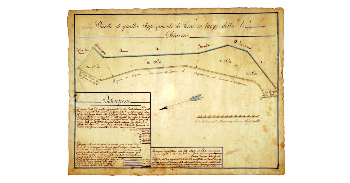 Pianta di quattro appezzamenti di terra in luogo detto le Chiarine