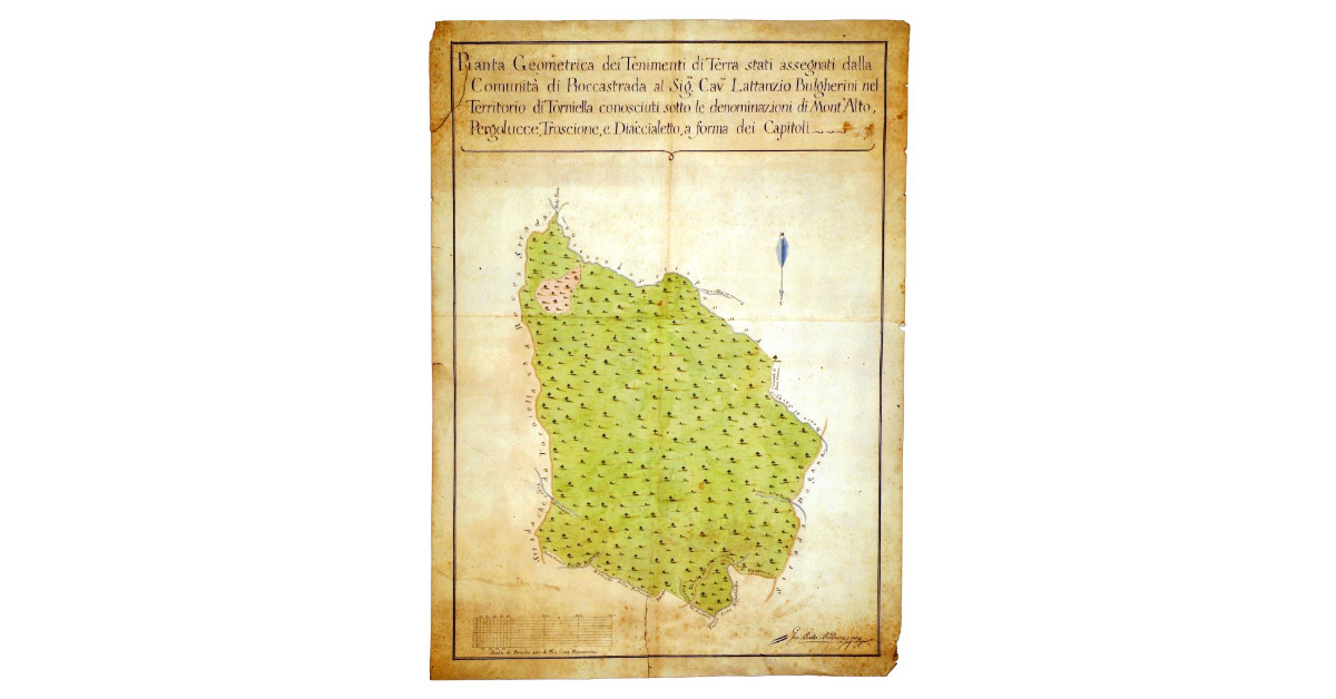 Pianta geometrica dei tenimenti di terra stati assegnati dalla comunità di Roccastrada al signor cavalier Lattanzio Bulgherini nel territorio di Torniella. Conosciuti sotto le denominazioni di Mont' Alto, Pergolucce,Troscione e Diaccialetto a forma dei capitoli