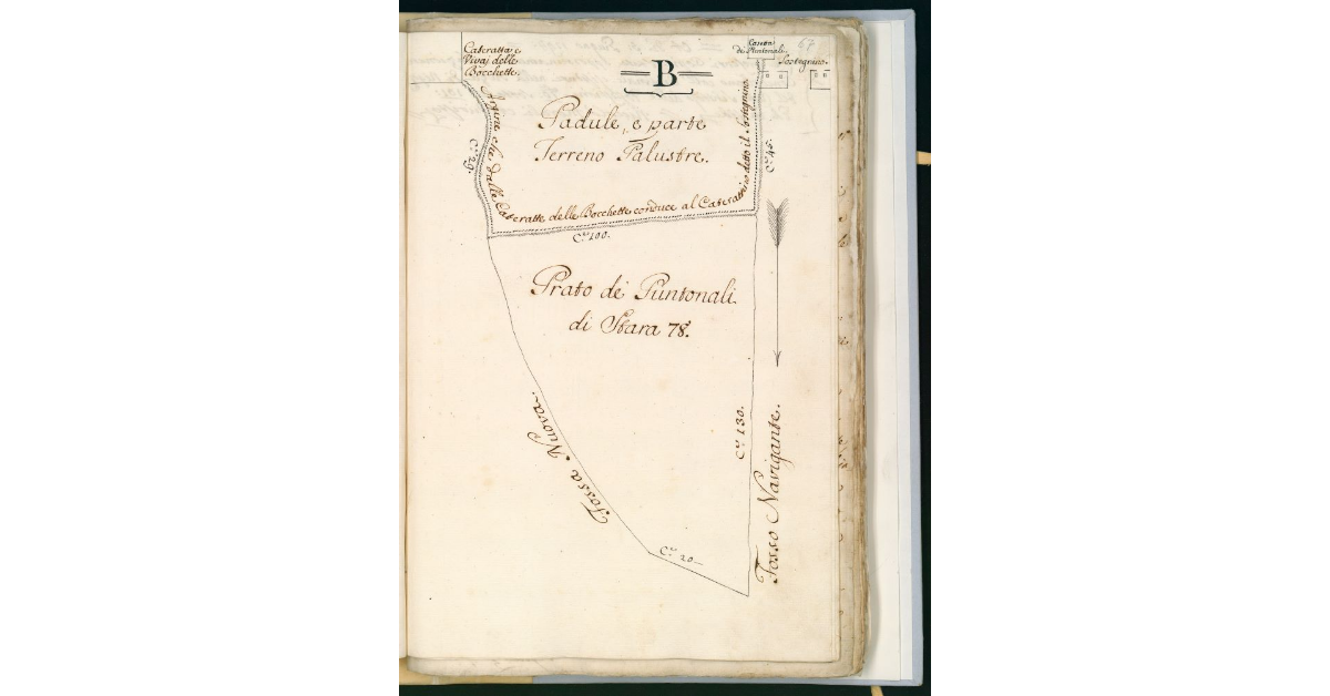 [Pianta del Prato de' Puntonali]