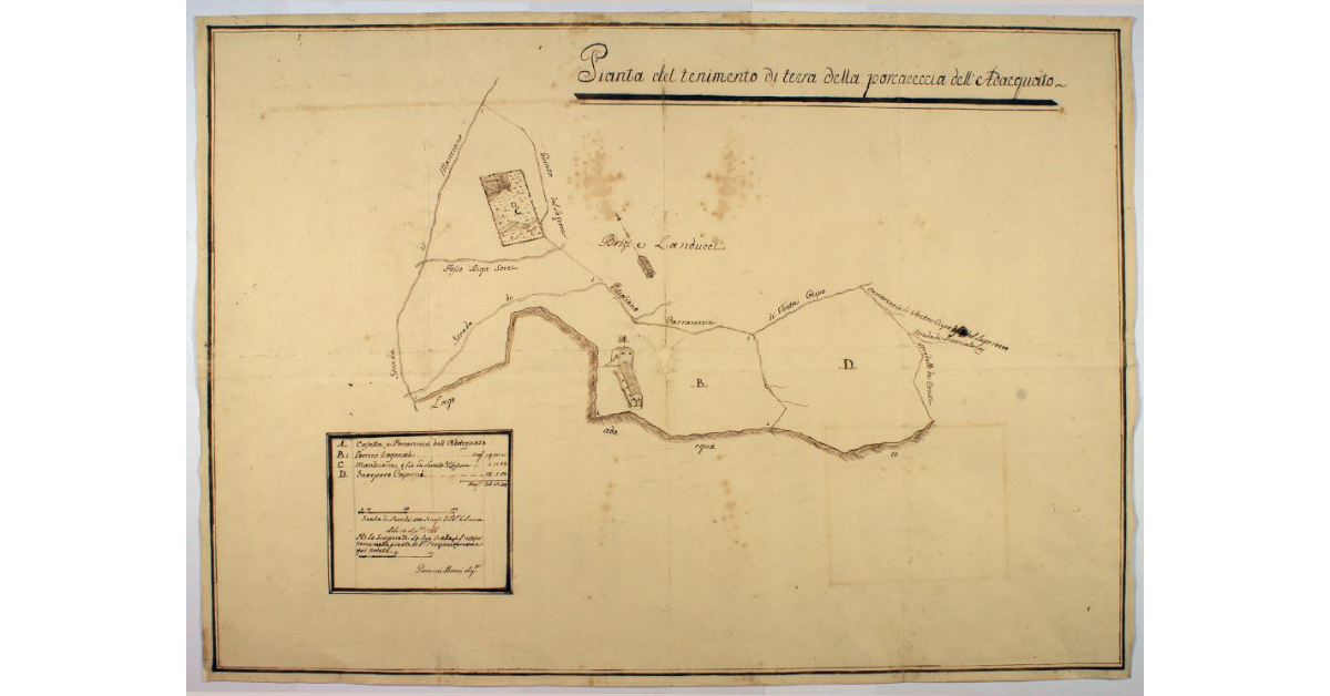 Pianta del tenimento di terra della Porcareccia dell'Adacquato