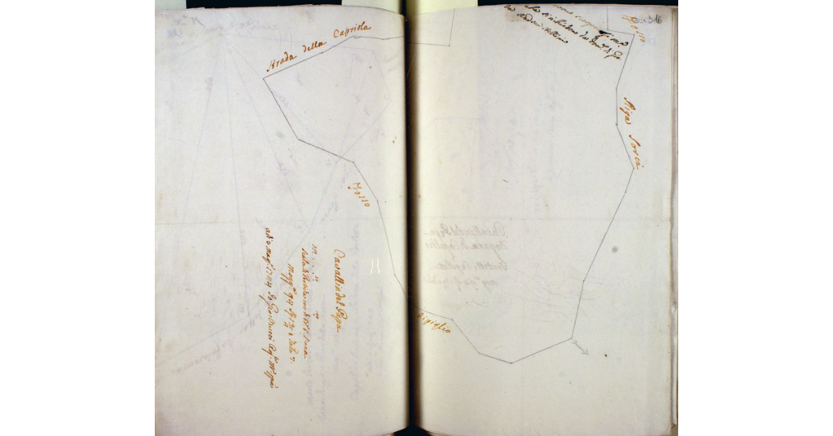 Cavallin del Papa. Dogana di Capalbio