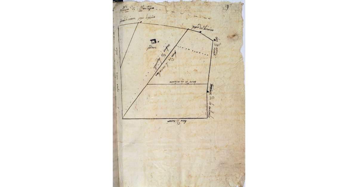 [Pianta delle due porzioni di terreno componenti la soppressa Dogana di Cana, richieste dal sig. Pietro Lazzero Gaetani]