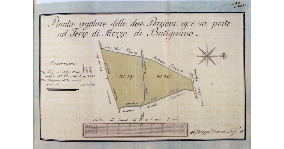 Pianta regolare delle due Porzioni 19 e 20 poste nel Terzo di Mezzo di Batignano